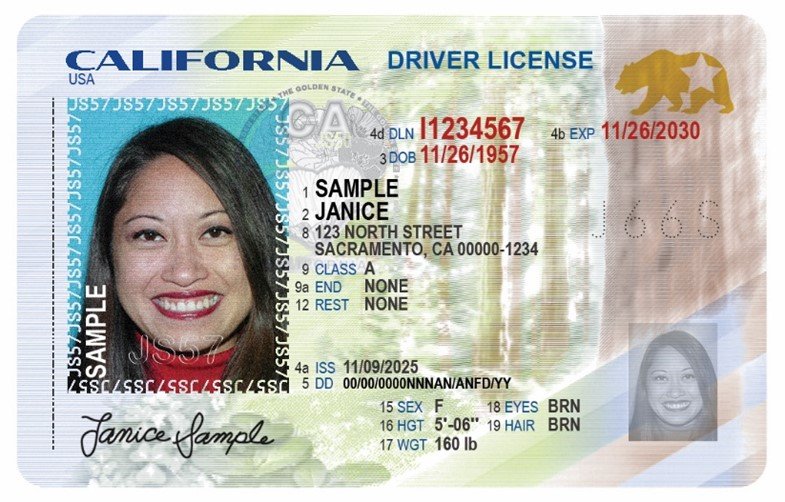 Sample California driver license — what your drivers ed course is preparing you for